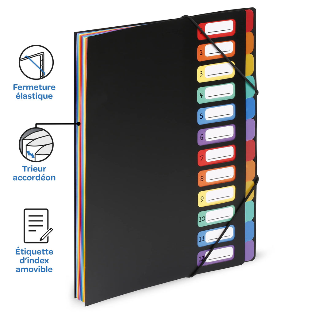 Viquel Rainbow Class - Trieur accordéon 12 compartiments en plastique - Pochette extensible pour classer et transporter des documents - Rangement papier format A4