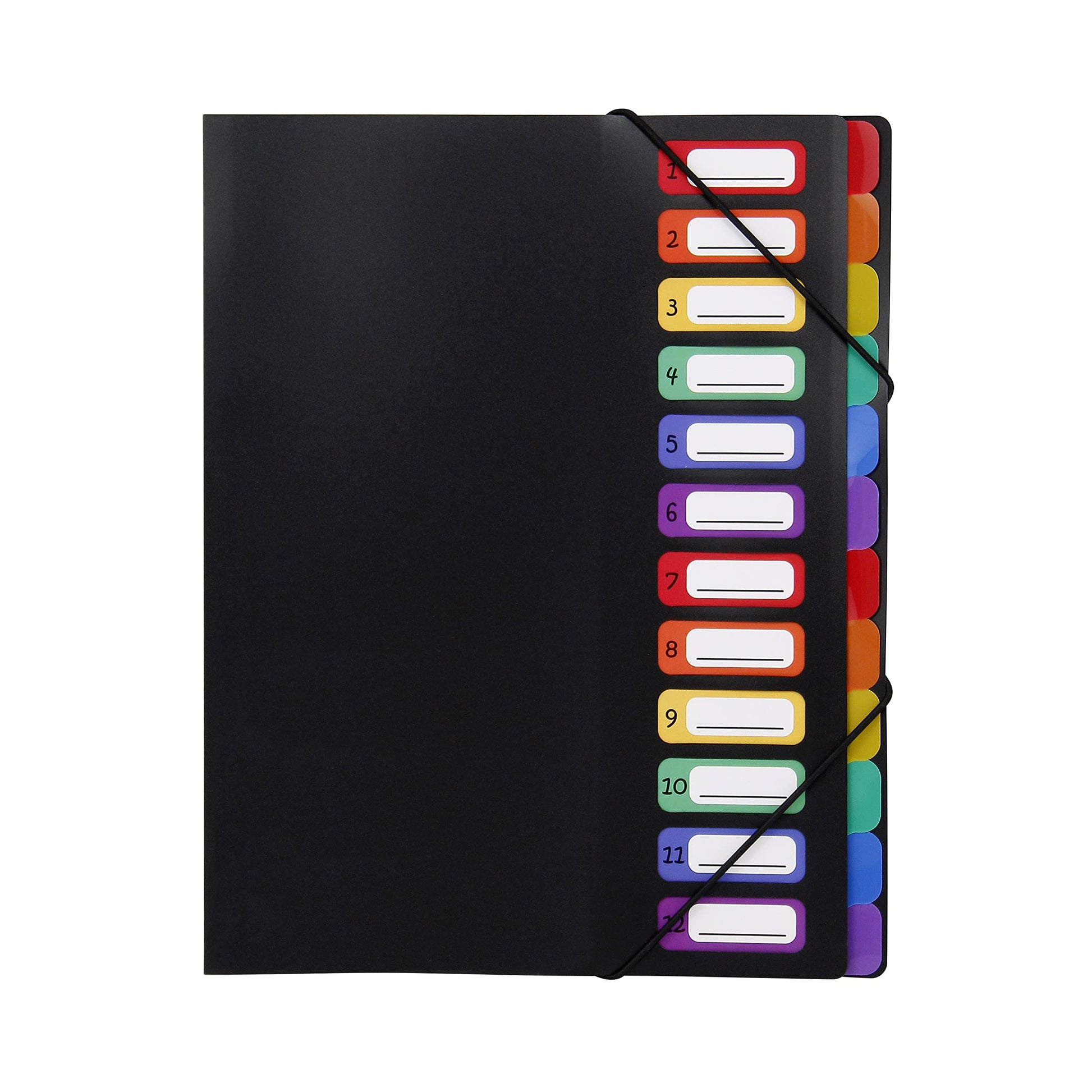 Viquel Rainbow Class - Trieur accordéon 12 compartiments en plastique - Pochette extensible pour classer et transporter des documents - Rangement papier format A4