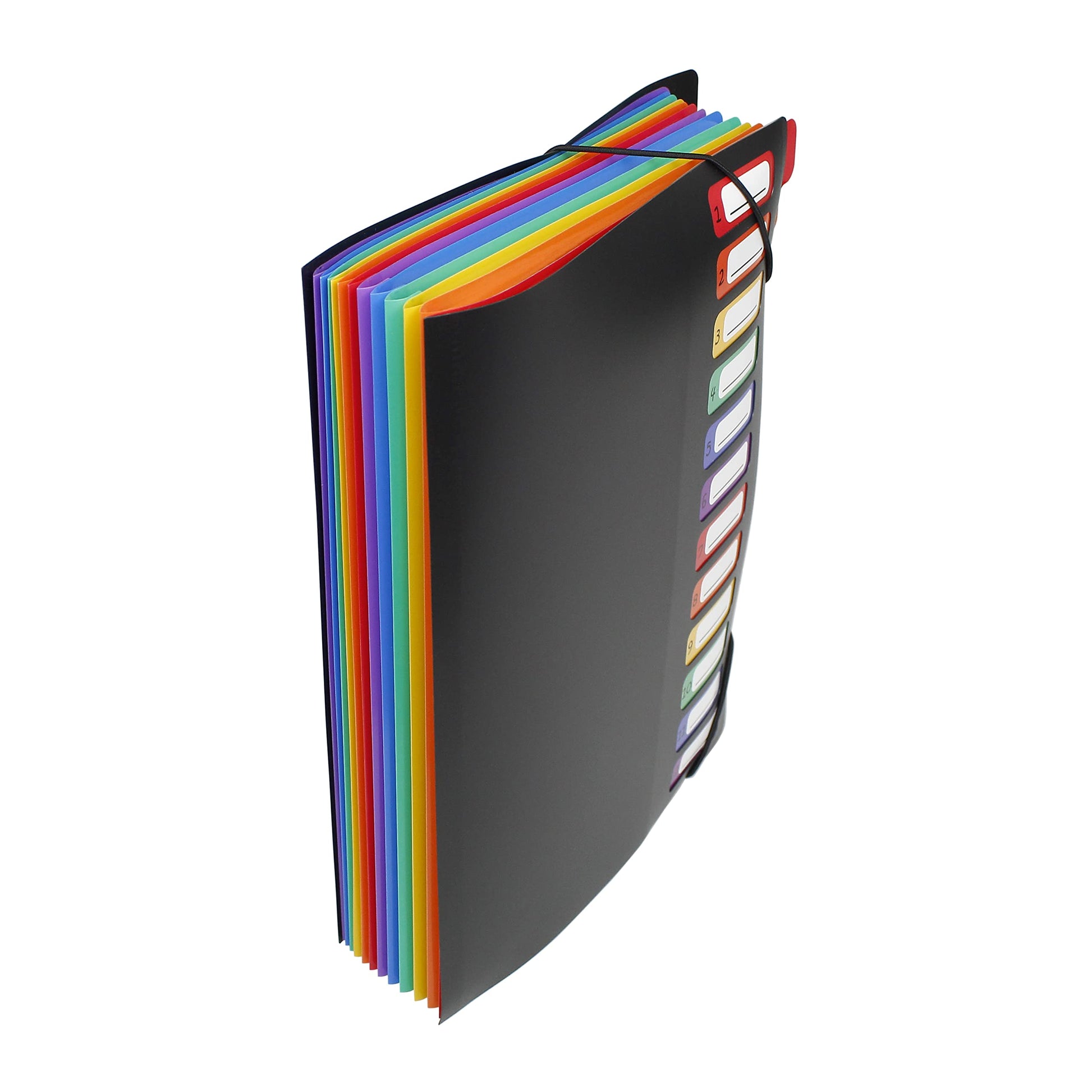 Viquel Rainbow Class - Trieur accordéon 12 compartiments en plastique - Pochette extensible pour classer et transporter des documents - Rangement papier format A4