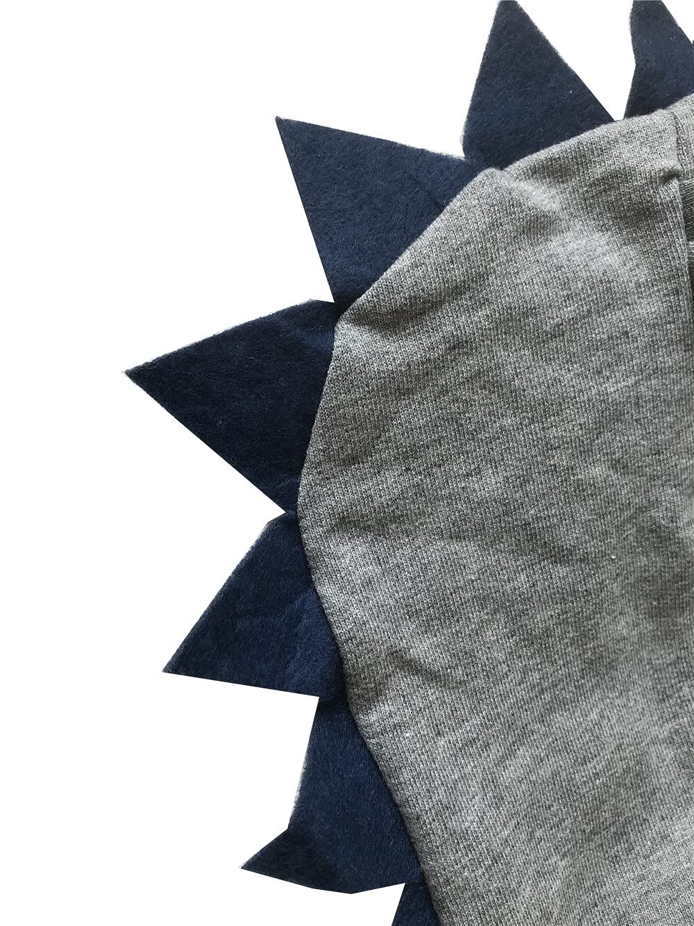 LitBud Garçons sweat à capuche pour Enfants Toddler Dessin animé Dinosaure jurassique World Park Fermeture éclair Noël Automne veste Manteau 4-5 Ans 5T