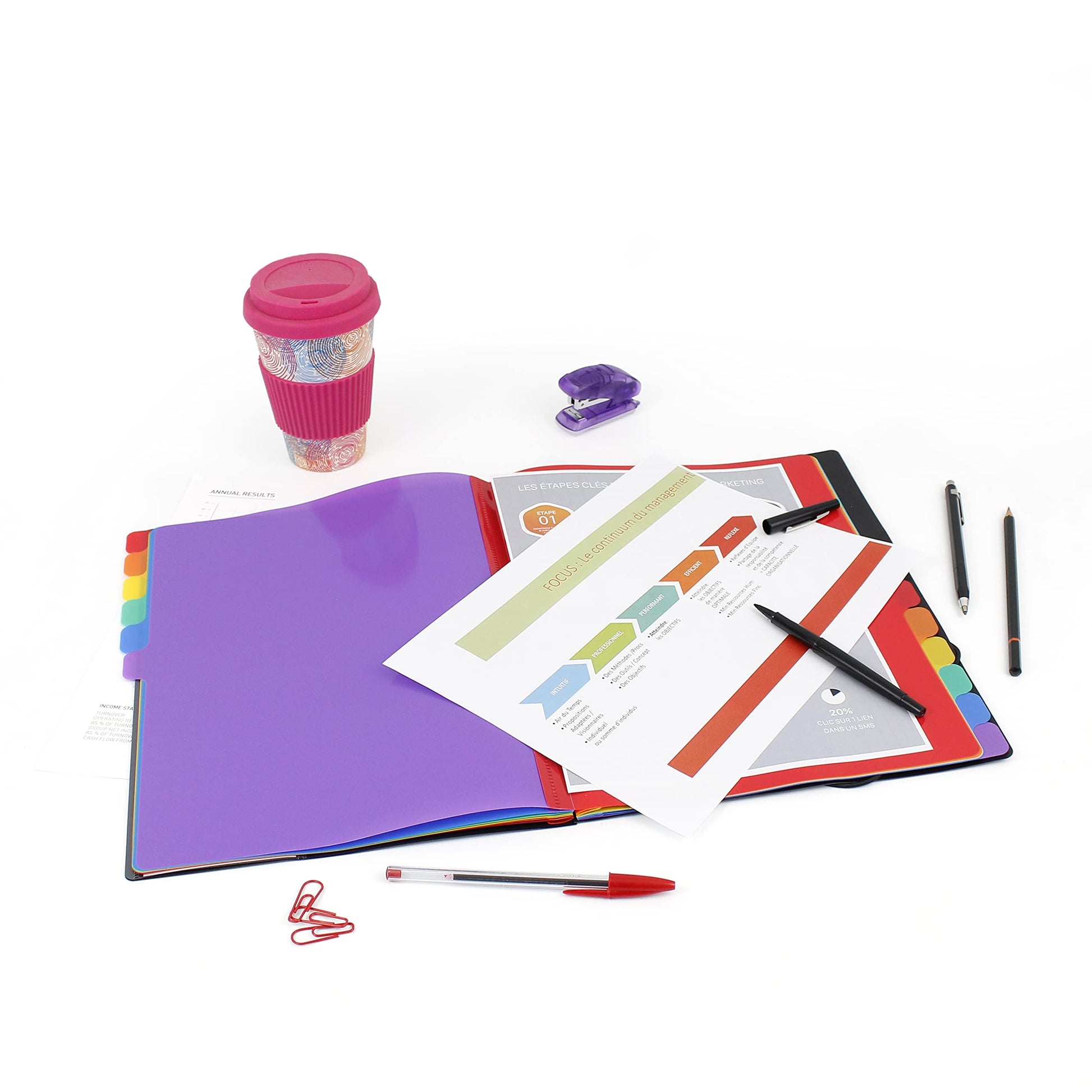 Viquel Rainbow Class - Trieur accordéon 12 compartiments en plastique - Pochette extensible pour classer et transporter des documents - Rangement papier format A4