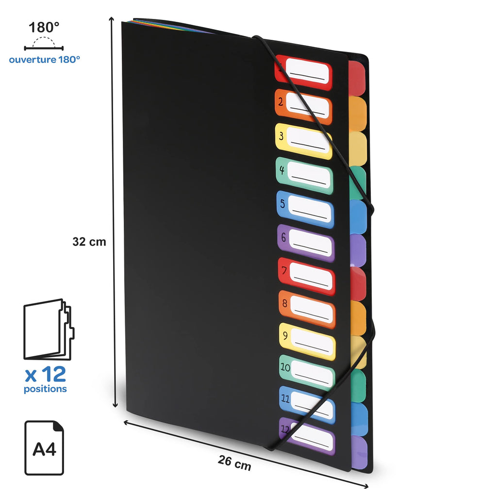 Viquel Rainbow Class - Trieur accordéon 12 compartiments en plastique - Pochette extensible pour classer et transporter des documents - Rangement papier format A4