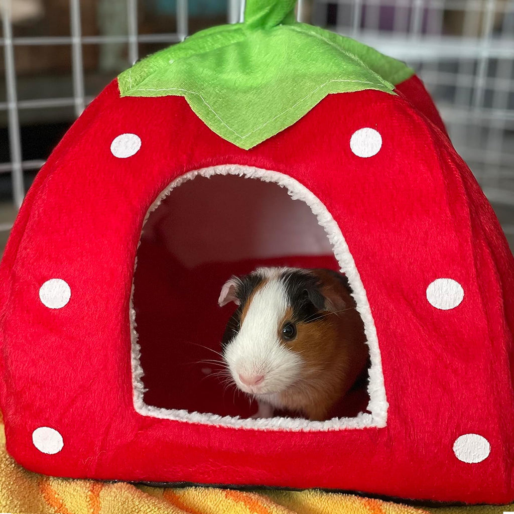 Maison pour Cochon d'Inde Lit Lapin Peluche Petits Animaux Couchages Hiver Interieur Cabane pour Chinchilla/Hérisson/Cobayes (Fraise)