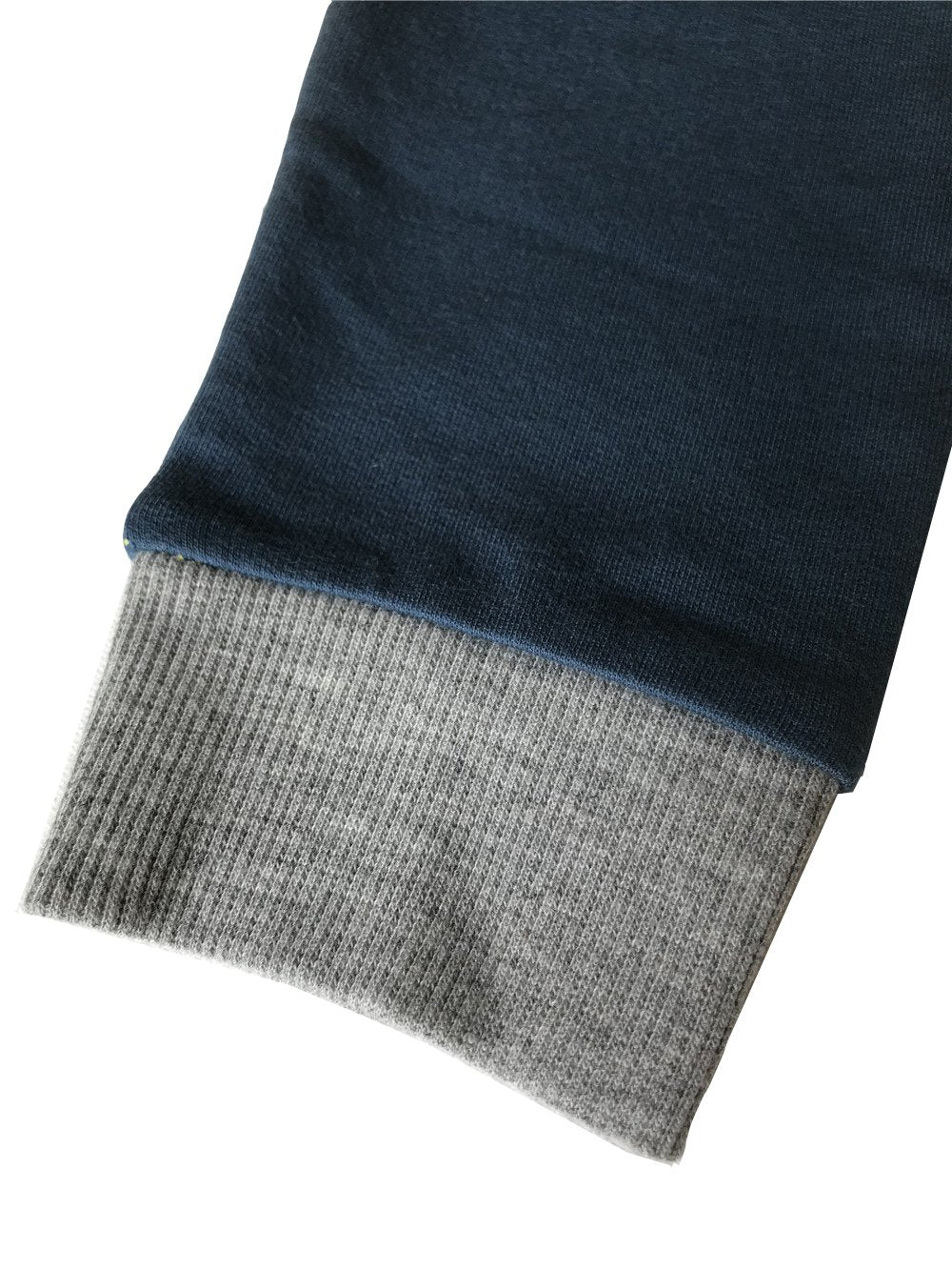 LitBud Garçons sweat à capuche pour Enfants Toddler Dessin animé Dinosaure jurassique World Park Fermeture éclair Noël Automne veste Manteau 4-5 Ans 5T