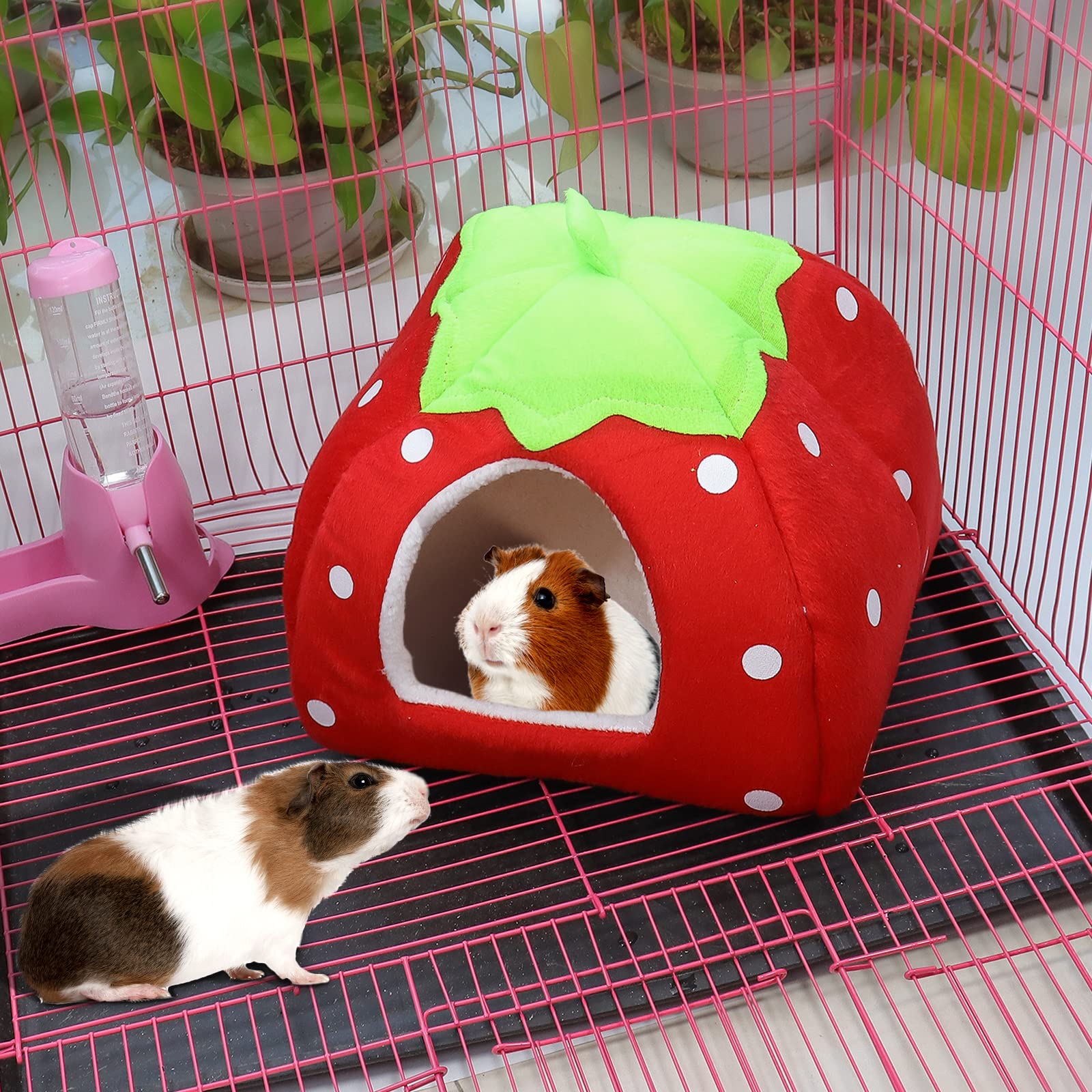 Maison pour Cochon d'Inde Lit Lapin Peluche Petits Animaux Couchages Hiver Interieur Cabane pour Chinchilla/Hérisson/Cobayes (Fraise)