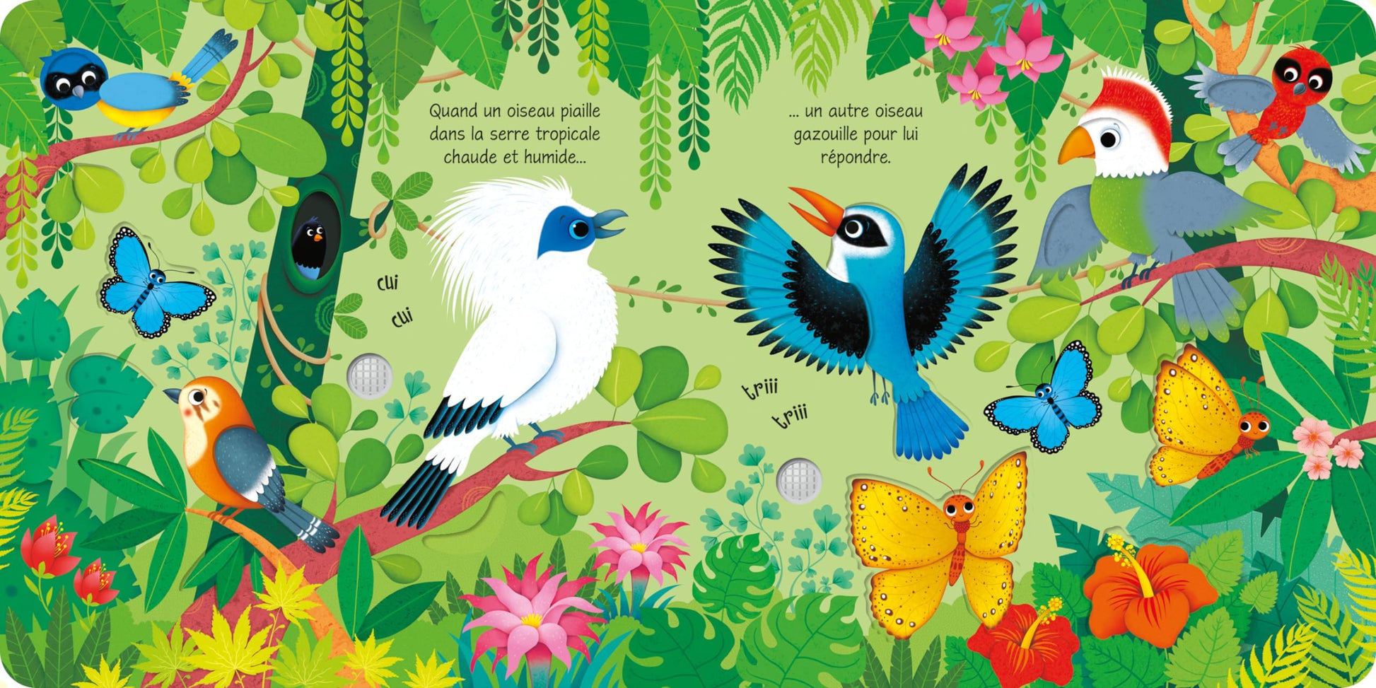 Les bruits du zoo - Mon livre sonore à toucher - Dès 1 an